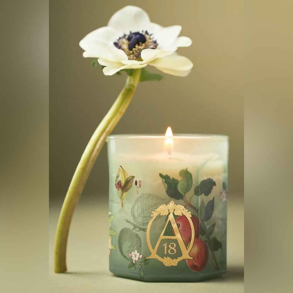ANTHROPOLOGIE NWT apothecary 18 spice orchard woods glass candle -35 hr burn